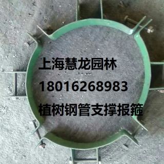 大樹報(bào)箍，植樹支撐報(bào)箍，鋼支撐報(bào)箍